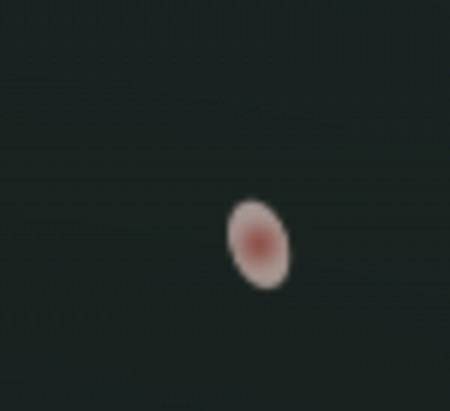 고치기 전: 가운데가 붉은 타원형 꽃잎, 물방울처럼 보인다